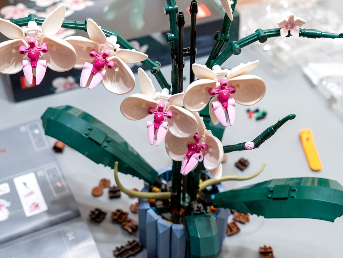 LEGO Orchidea (10311) - recenzja 